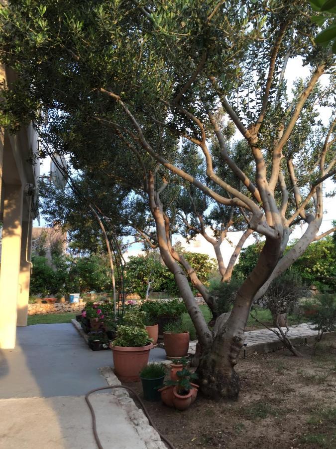 Apartments Biba & Lucy Ražanac المظهر الخارجي الصورة