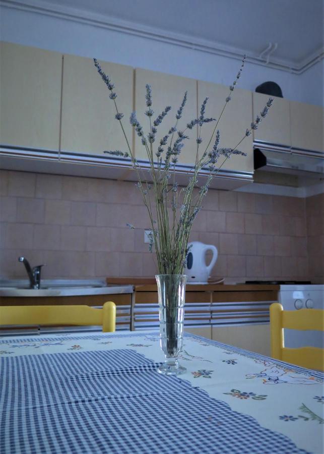 Apartments Biba & Lucy Ražanac المظهر الخارجي الصورة