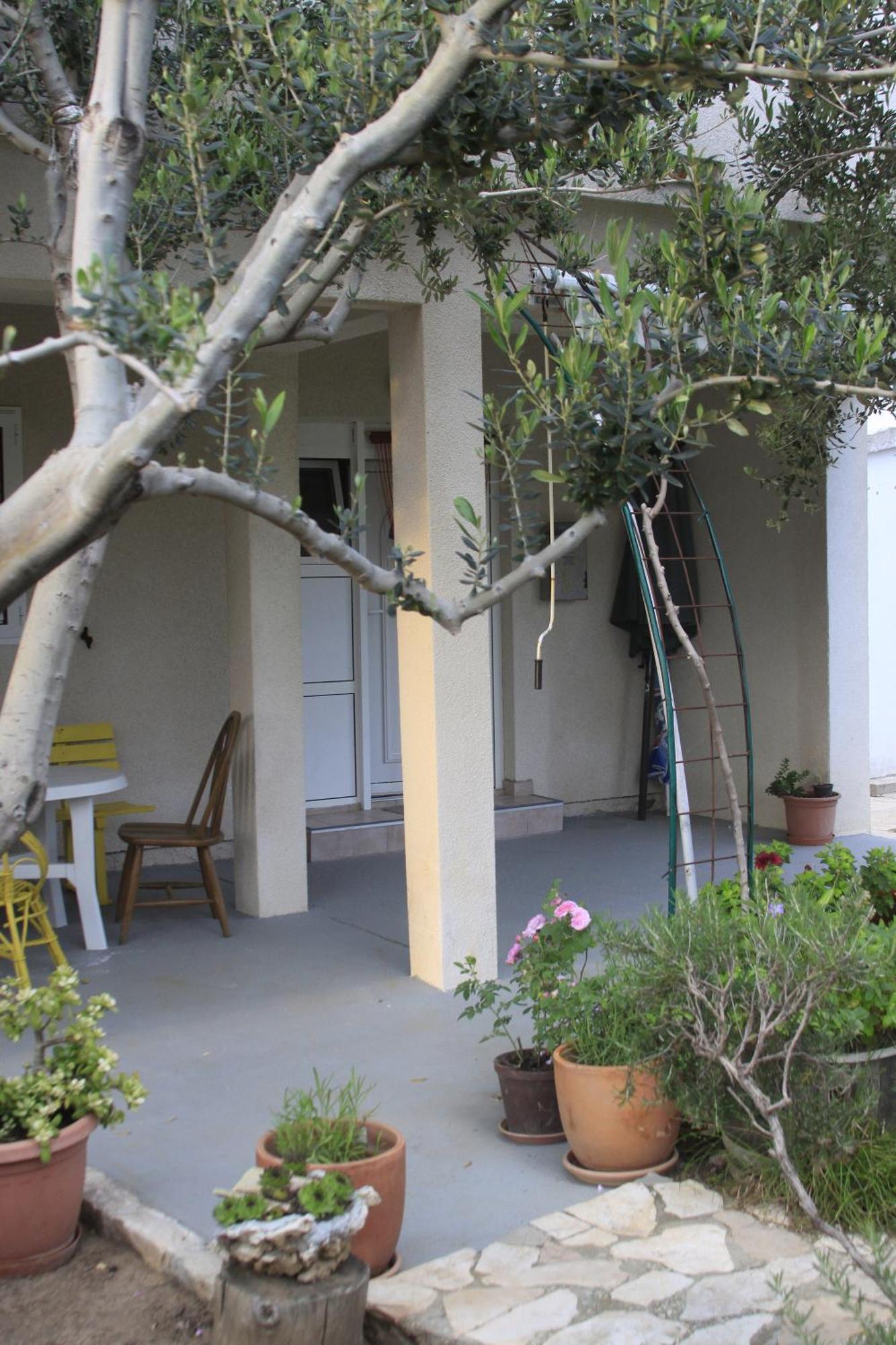 Apartments Biba & Lucy Ražanac الغرفة الصورة